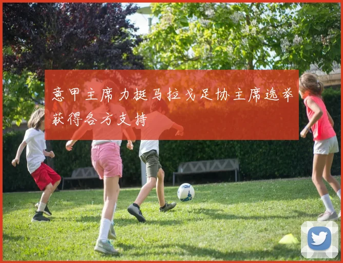意甲主席力挺马拉戈足协主席选举获得各方支持