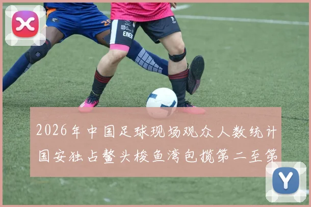 2026年中国足球现场观众人数统计国安独占鳌头梭鱼湾包揽第二至第七位